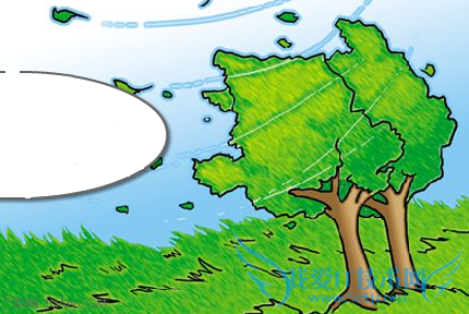 ηʱΪʲôᷢಡ 52IJ