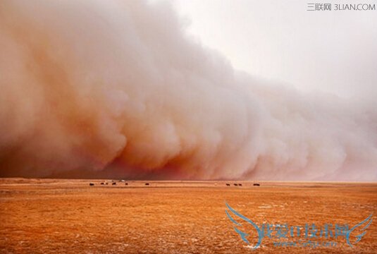 ɳγԭ            52IJ