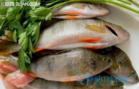 ݸͷС                  52IJ