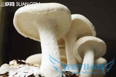 ñ䱣ʳOUT       52IJ