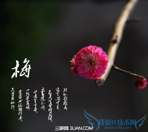 ľָʲô          52IJ