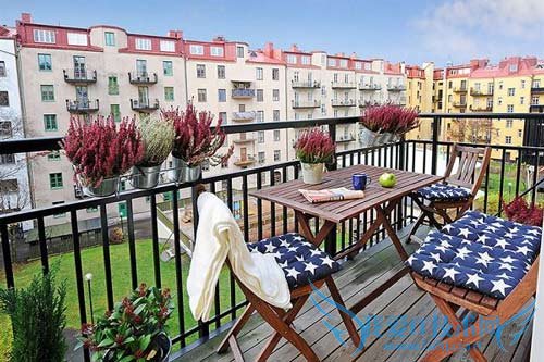 鲜活植物为家注入自然活力(六) 52IJ