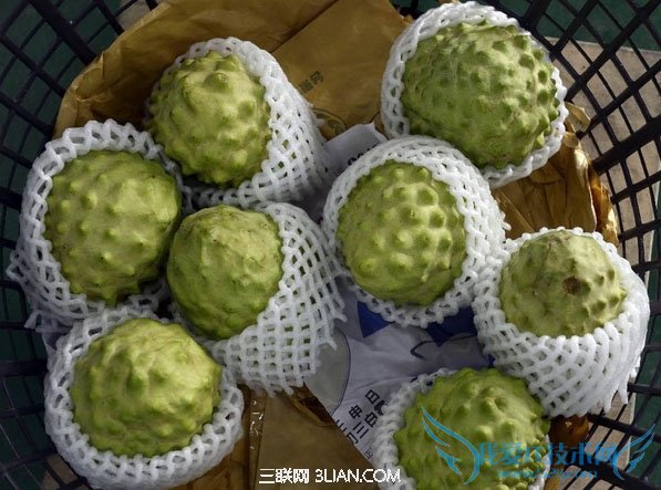 如何挑选释迦 52IJ