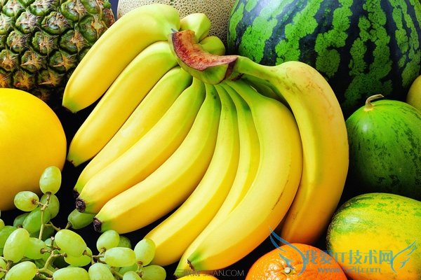 坐月子可以吃什么水果 饮食多样化平衡膳食