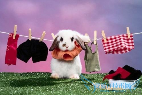 衣服上的污渍怎么洗 52IJ