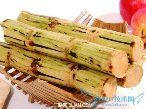 哺乳期能吃甘蔗吗 52IJ母婴教育