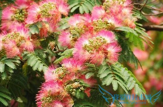 ϻĹЧ              52IJ