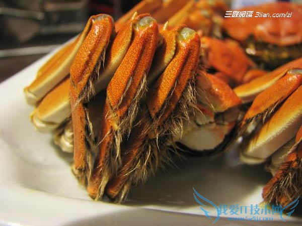 怎样分辨正宗阳澄湖大闸蟹 52IJ阅读