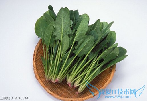 如何选购菠菜 52IJ