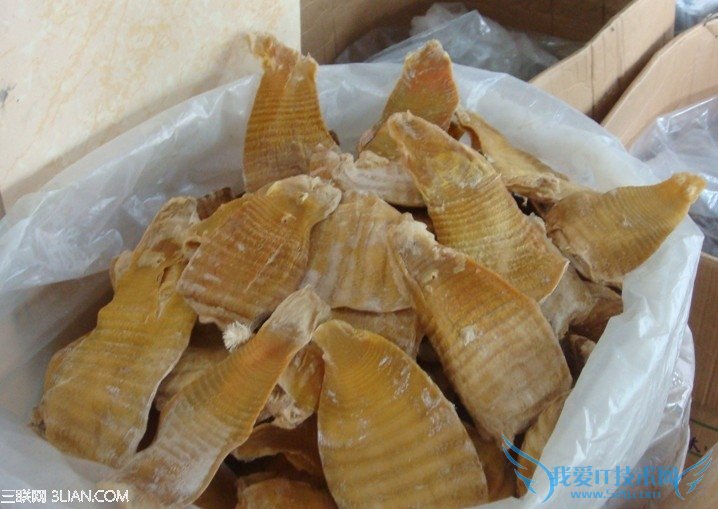 如何挑选笋干 52IJ