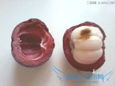 山竹怎么剥图解,如何剥山竹