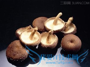 жҰĢǷжķ     52IJ