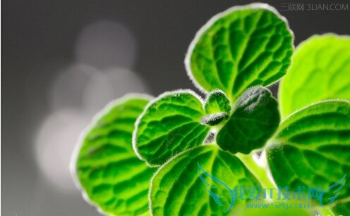 ҩùЧ          52IJ