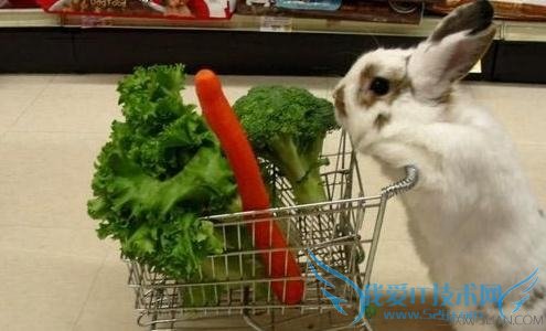 健康逛超市记住5个数 52IJ