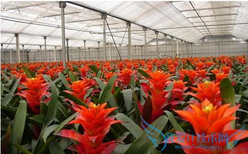 滨빦Ч          52IJ