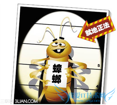 去除蟑螂的小妙招 52IJ