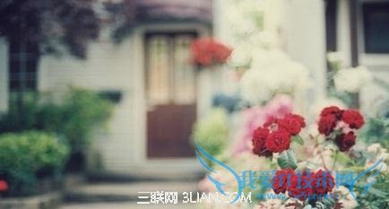 ôƼĿ                 52IJ