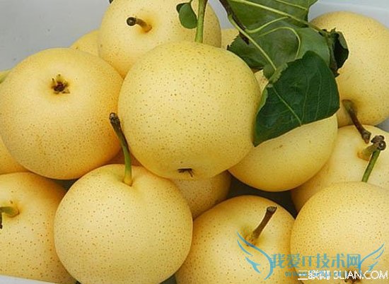 根据职业选择水果 52IJ