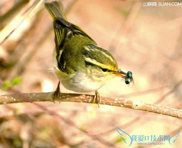 50ĶŹֵʶ            52IJ