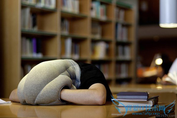 温馨的鸵鸟枕头 52IJ