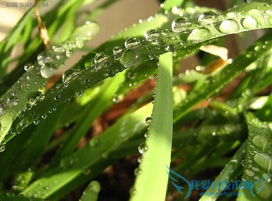 ²˵ĹЧЩ       52IJ