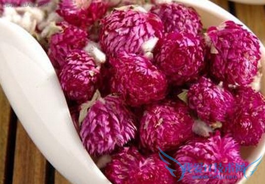 ǧպ컨ĹЧݷ     52IJ