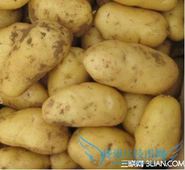 坐月子能不能吃土豆 爱稻壳