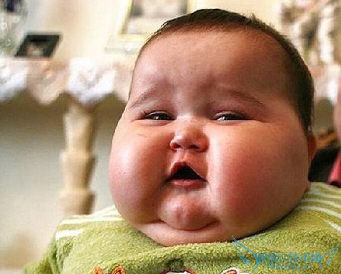 刚出生的宝宝要怎么上户口 52IJ