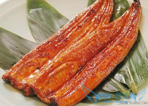 鳗鱼如何挑选 52IJ