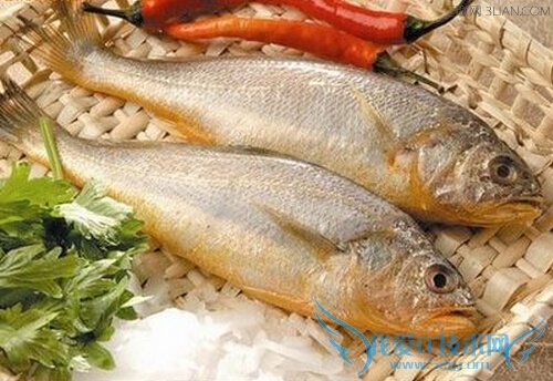 产妇恢复身体不妨吃点黄花鱼 52IJ母婴教育