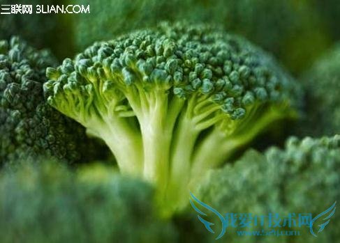 产后越吃越苗条的10种美味食物 52IJ母婴教育