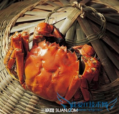 зô                    52IJ