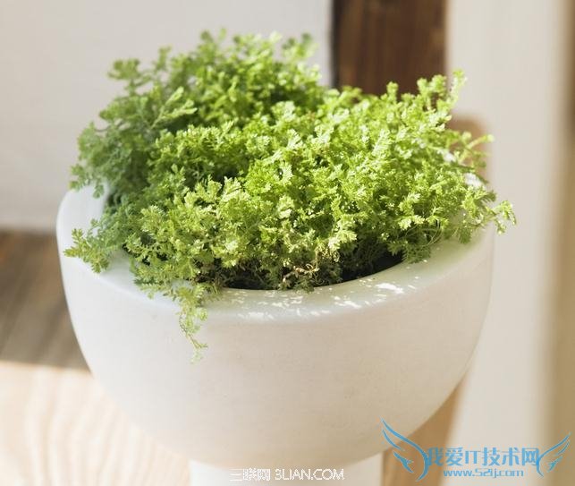 4໨ݲ            52IJ