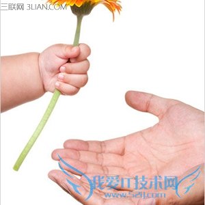 ���̺��ز����С��    52IJĸӤ����