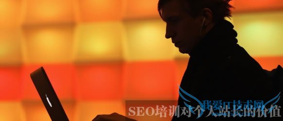 SEO培训对个人站长的价值 我爱IT技术网