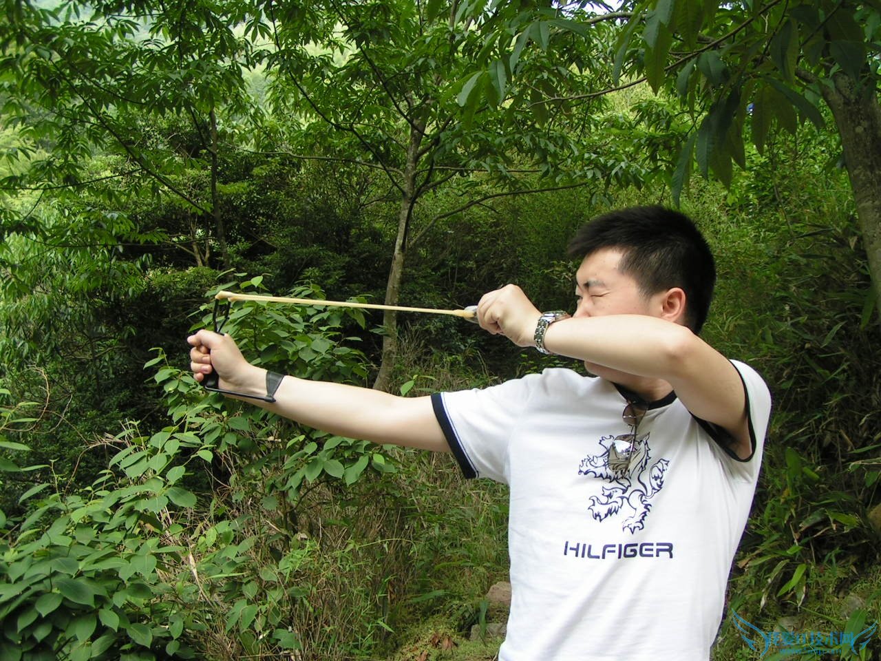 ãڷǡ桱Ϯг ҰIT