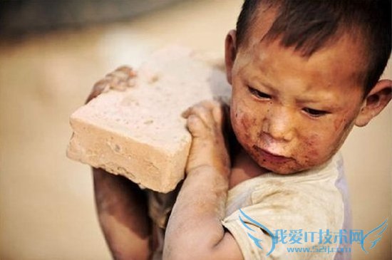 SEOҵǧҪ롰ҳ壡ҰIT