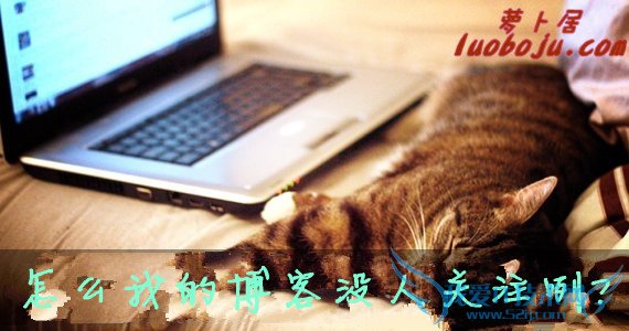 独立博客逐渐消亡的根本原因 我爱IT技术网教程