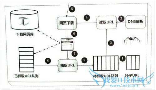 搜索引擎蜘蛛抓取网页规则 我爱IT技术网