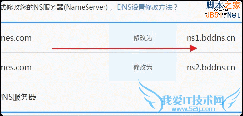 .science给出NS记录