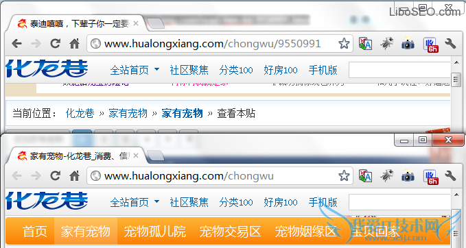 ڻİеһЩSEO ҰIT̳