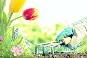 տ԰һữýӪ5㾭 ҰIT