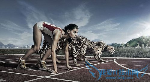 网站SEO方案:竞争对手分析 我爱IT技术网