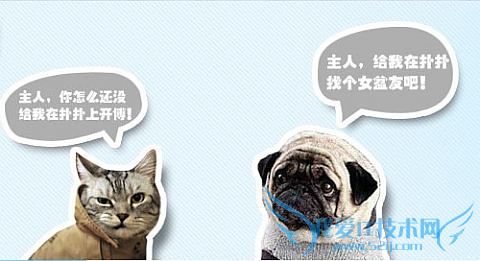 垂直社交之——宠物社交 精准定位并找准市场 我爱IT技术网教程