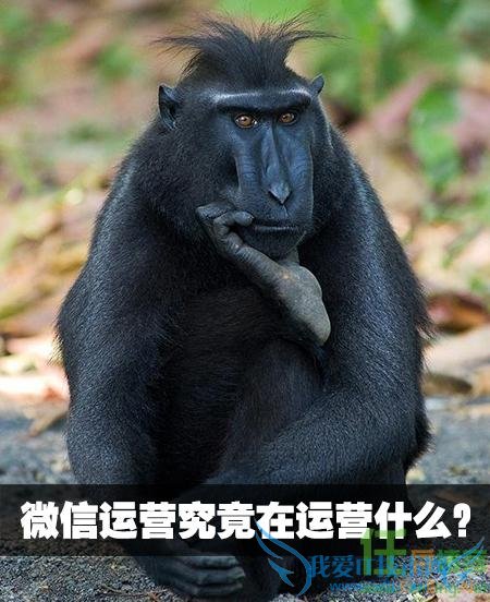 微信运营究竟在运营什么? 我爱IT技术网