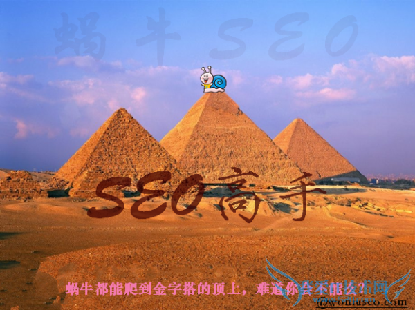 如何两个月成为SEO高手 我爱IT技术网