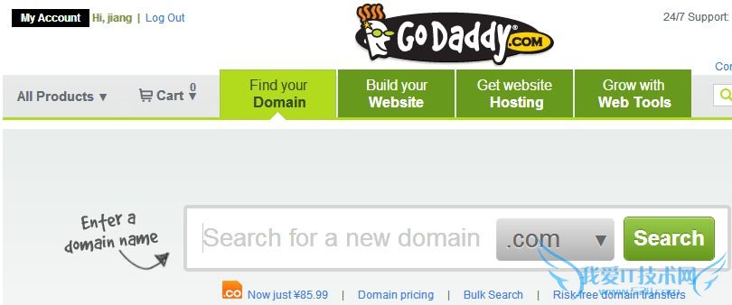 DNSתƽ̳ GODADDY򲻿 ҰIT