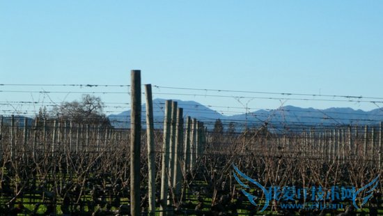 揭秘科技博客崛起之路!GigaOm创始人自白