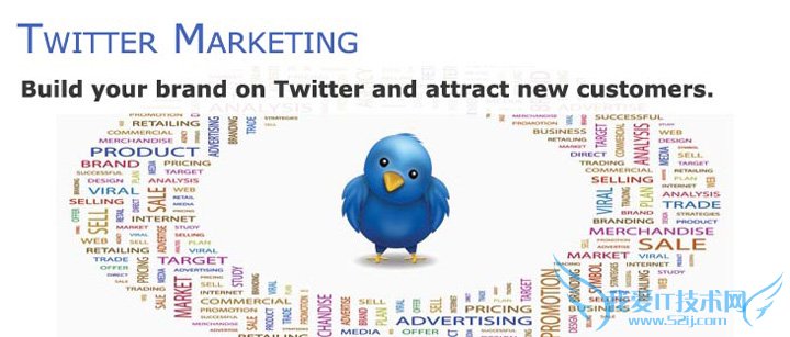 twitter-marketing-by-winweb