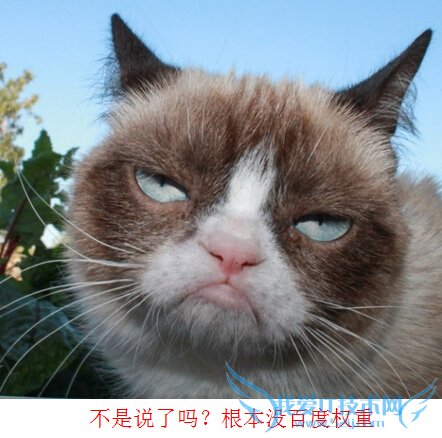 ûаٶȨ ɶжվ ҰIT